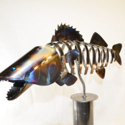 Walleye - Multi-colored