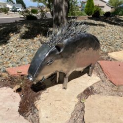 Steel Javalina (SOLD)